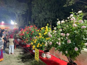 Read more about the article On Growing Potted Roses By Sanjay Mukherjee