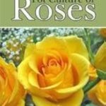 POT CULTURE OF ROSES BY S.C. DEY